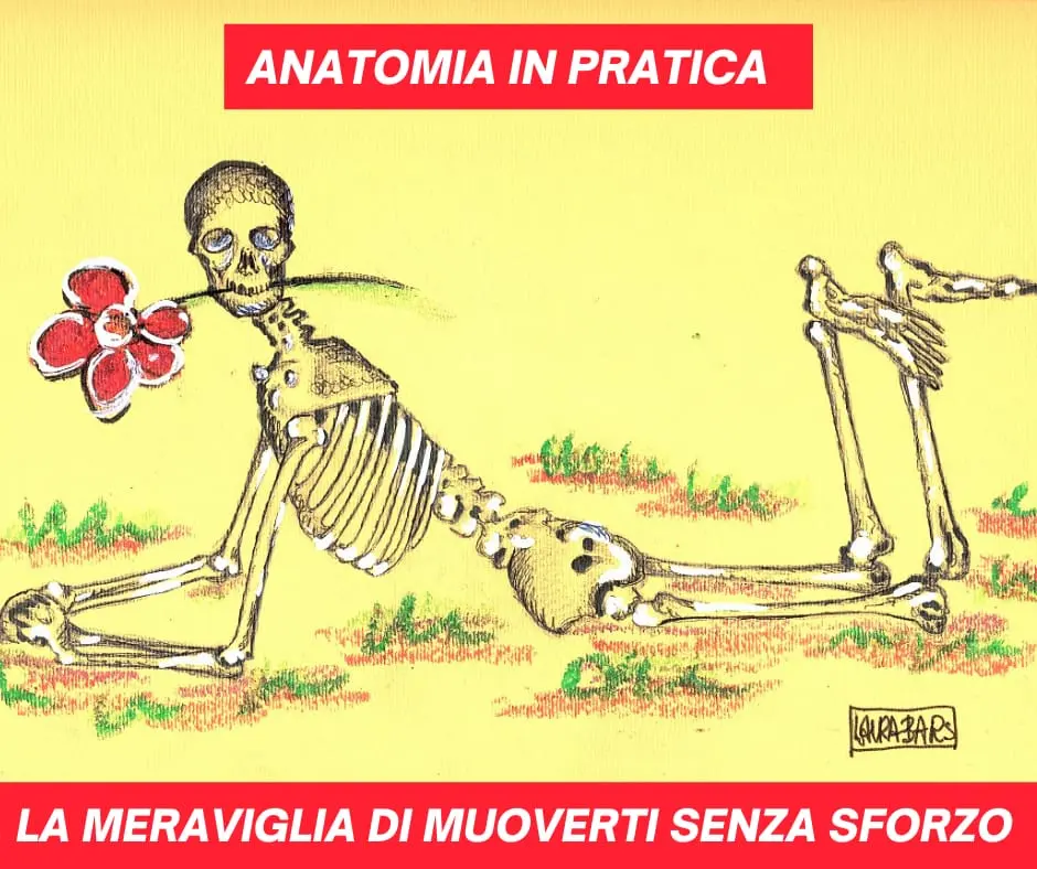 Corso di Anatomia in Pratica