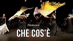 Che cos'è il flamenco